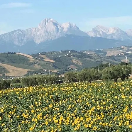 Willa Casa Alessia - In Campagna Con Piscina Le Torri